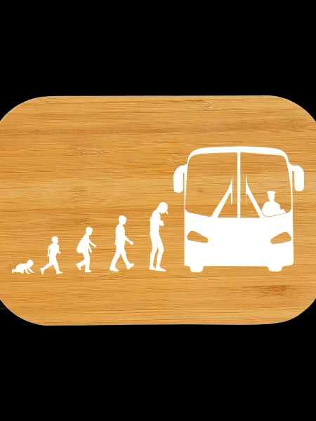 Evolution vom Baby zum Busfahrer