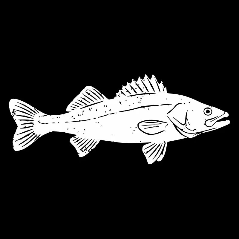 Big Zander Fish Catch Vector