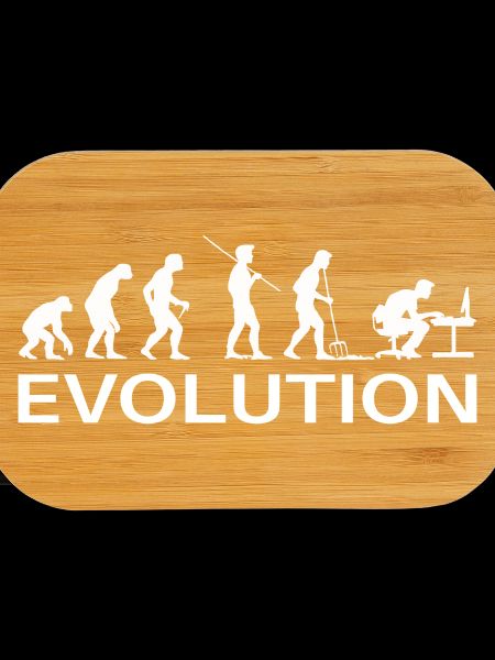 Programmierer Evolution Informatiker Entwickler
