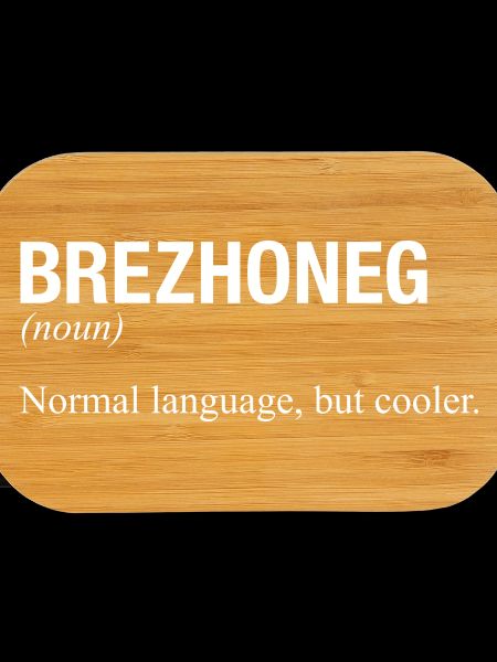 BREZHONEG Breton Brittany