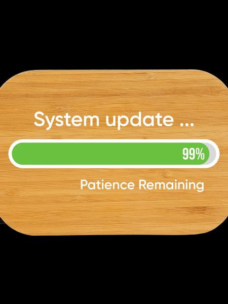 System Update 99% Patience Remaining