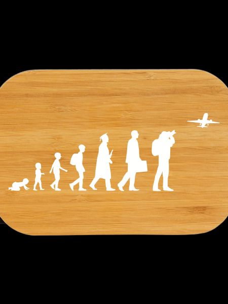Passionné d’avion Evolution