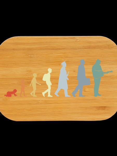Gitarrist Evolution
