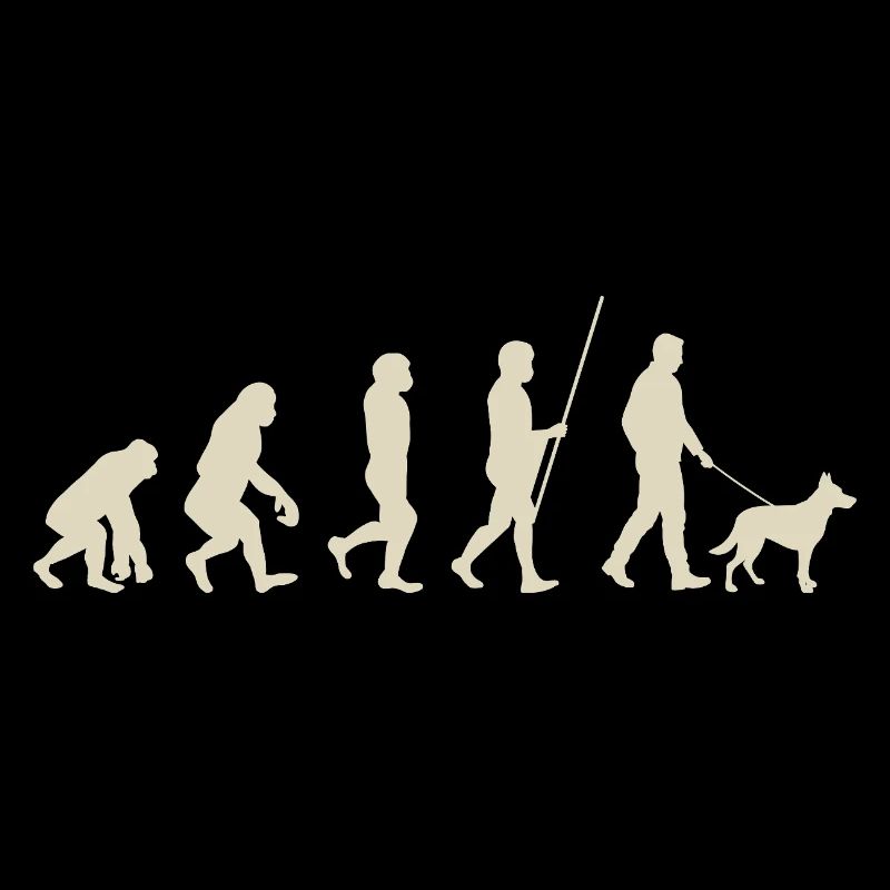 Illustration der Evolution der Menschheit