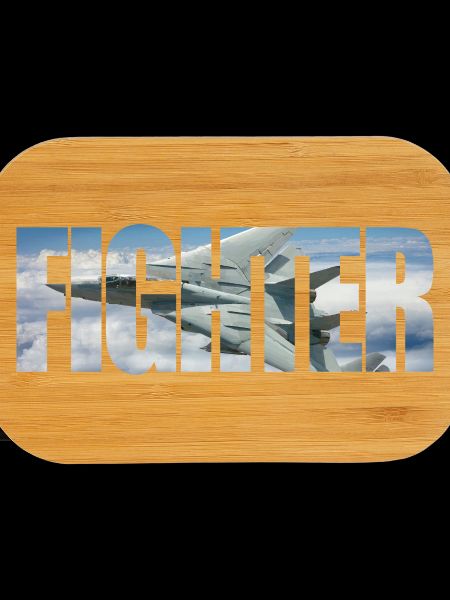 Fighter F-14 Tomcat
