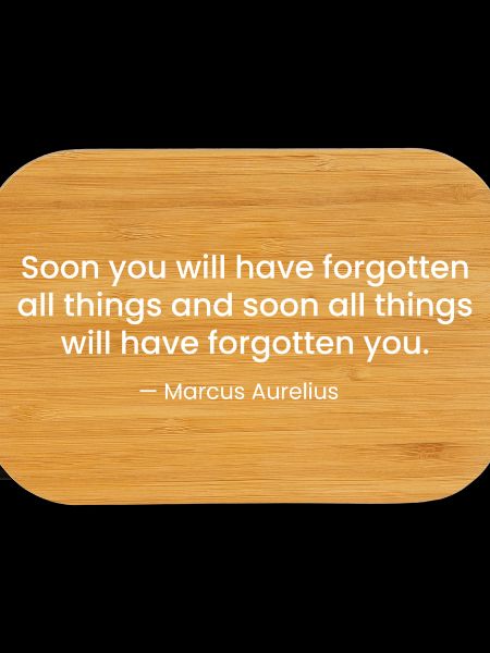 Marcus Aurelius Stoic Quote Design