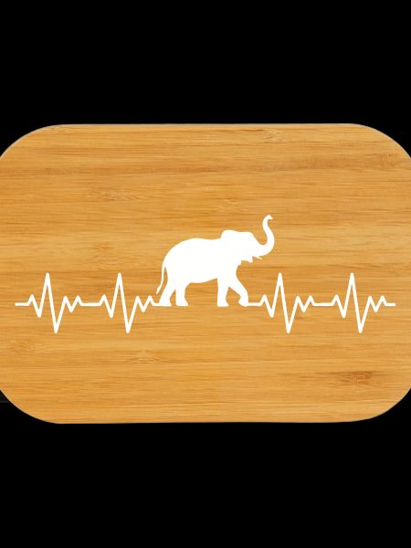 Elephant ECG Heartbeat
