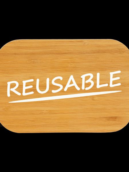 REUSABLE