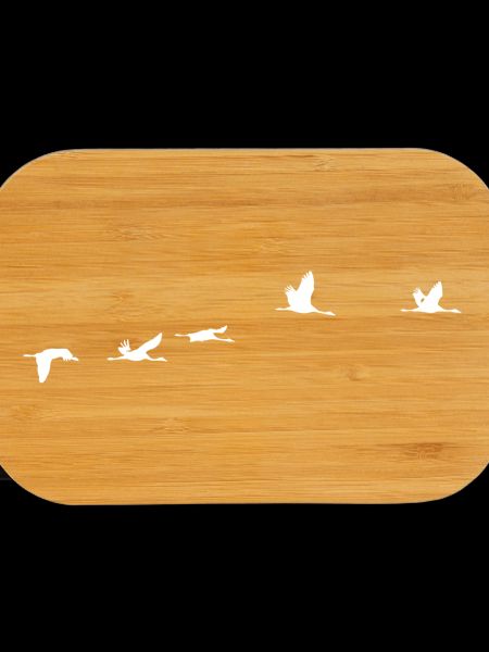 Oiseaux migrateurs blanc grue
