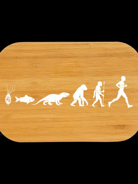 Evolution Run Fitness Silhouette