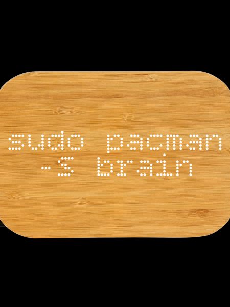 sudo install -S brain