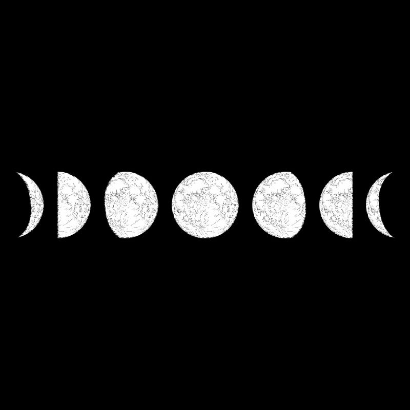 Moon Phase Circle Sequence