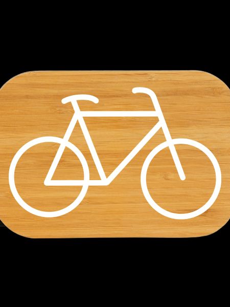 Bicycle Cycling Icon
