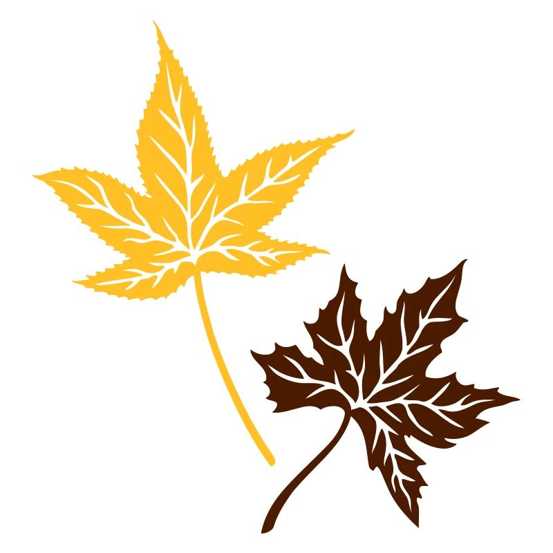 Maple, autumn, leaves, maple leaves