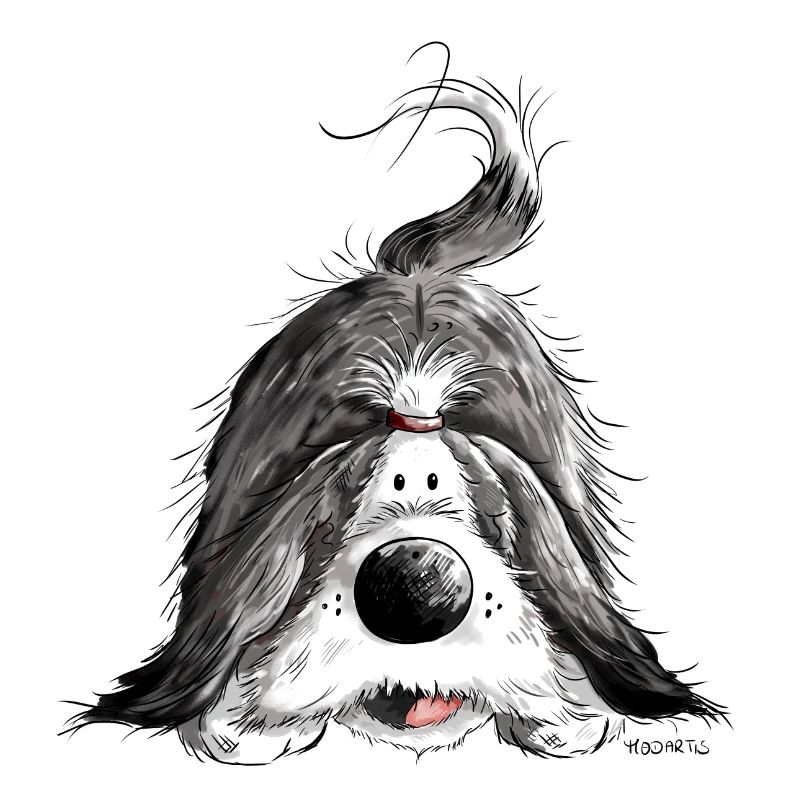 Fröhlicher Bearded Collie