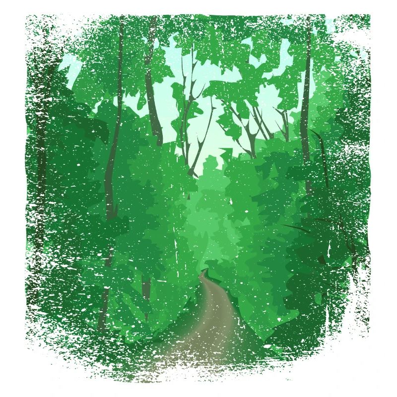 Forest path with frayed edge