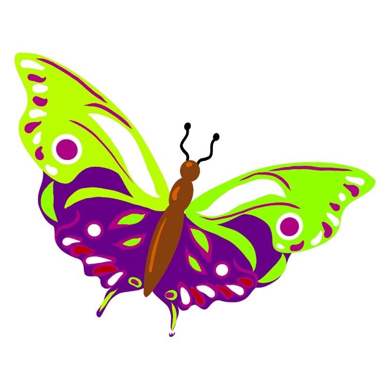 Illustration de papillon multicolore
