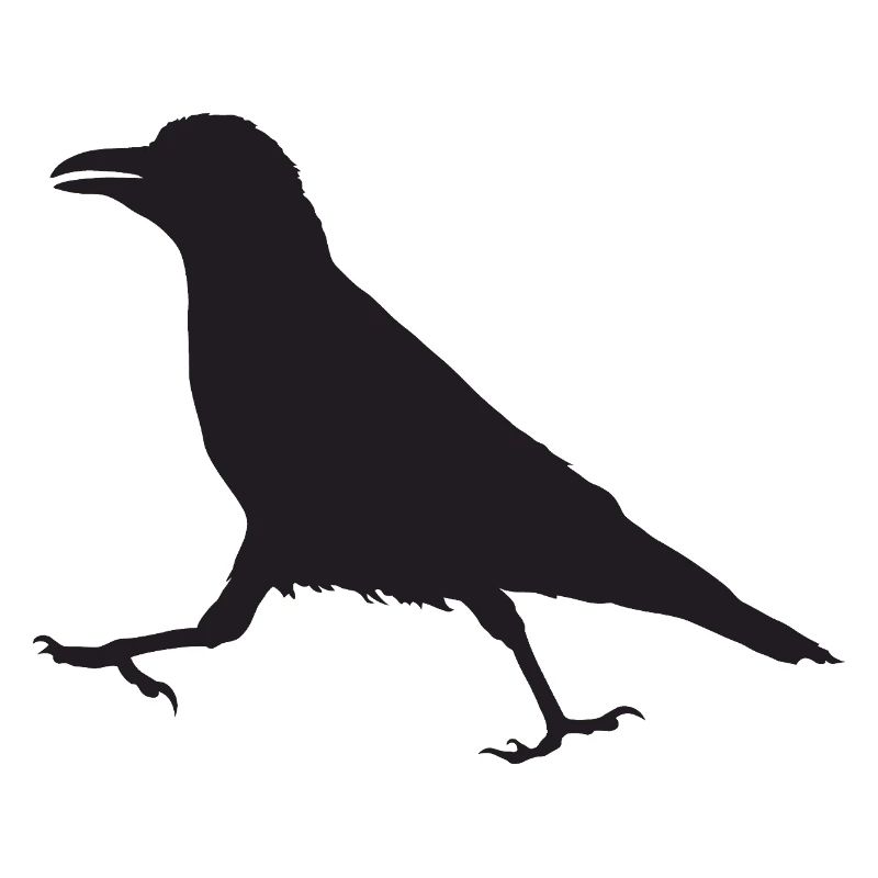 Corbeau I