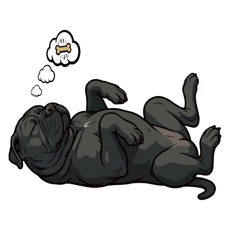 Cane Corso Cane Corsos Corso halter Corso Besitzer