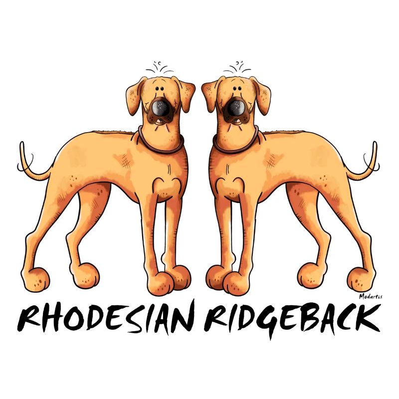 Two Rhodesian Ridgeback
