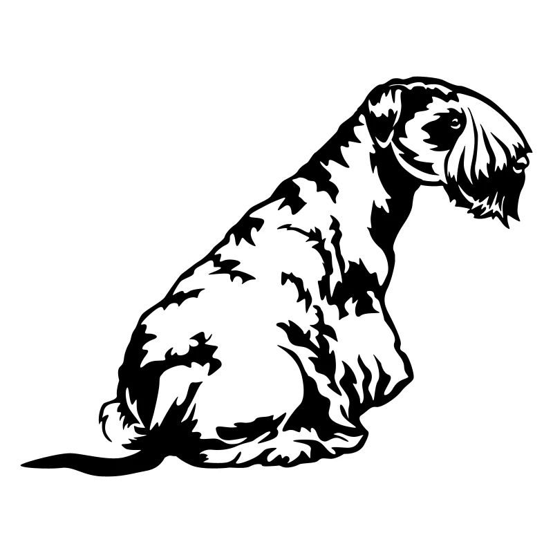 Cesky Terrier