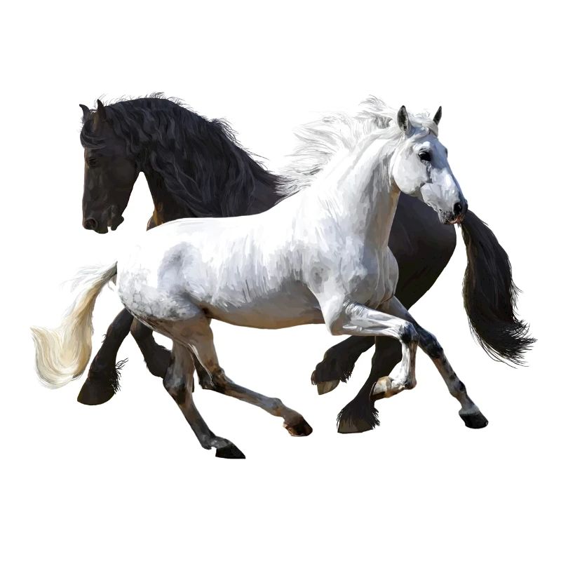 Pferde