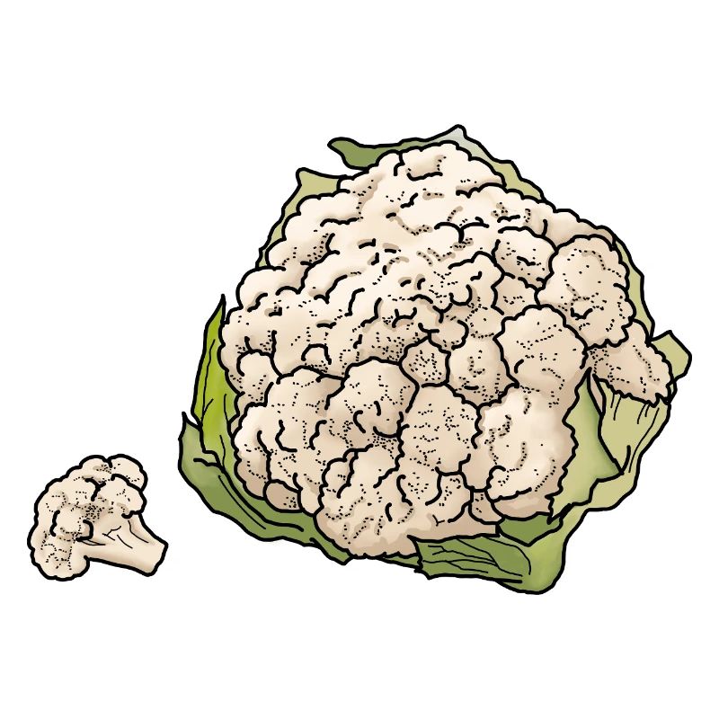 Blumenkohl