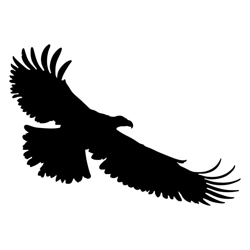 aigle