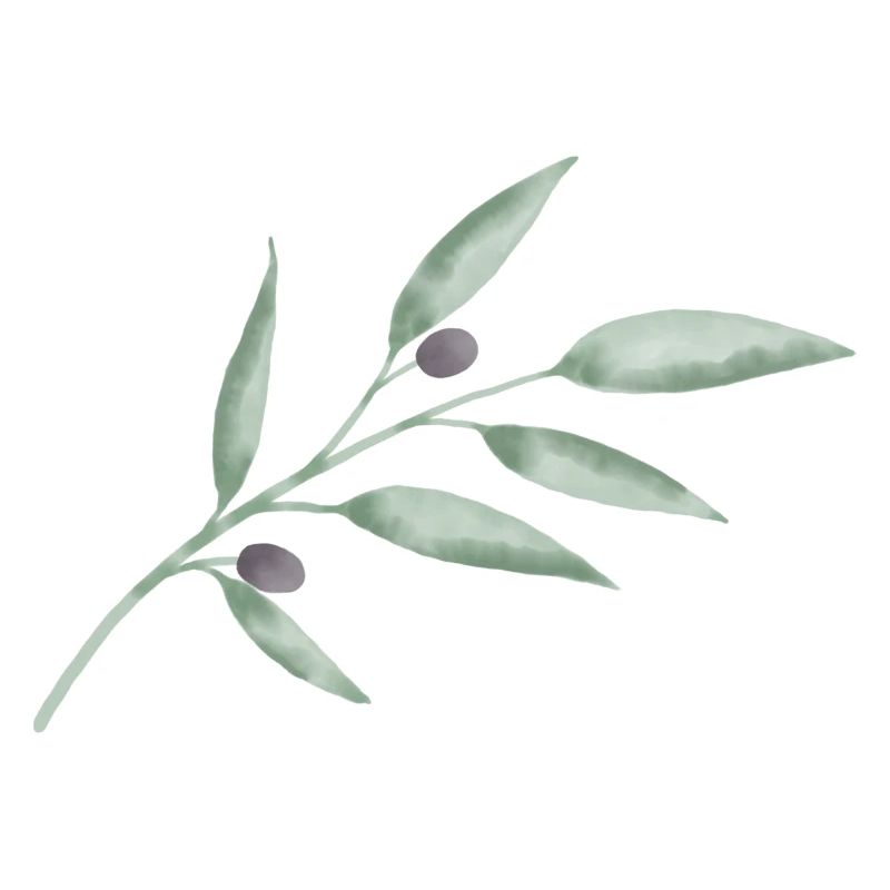Olive Branch