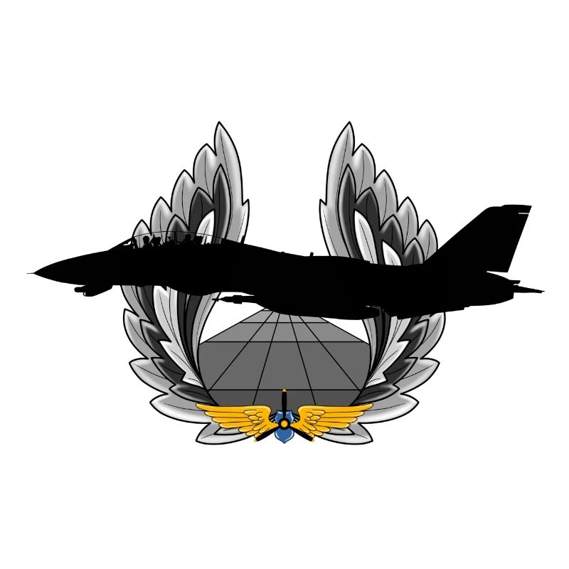 F-14 Tomcat