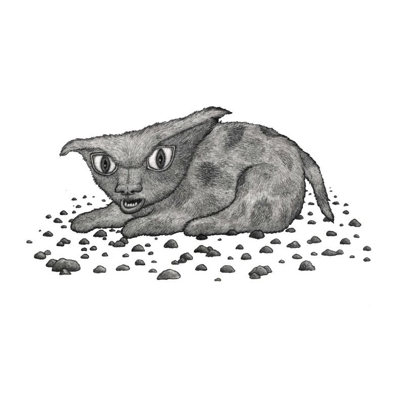 Grim Cat