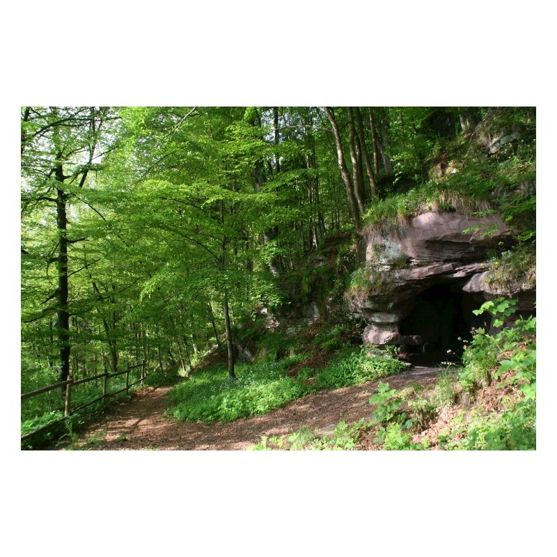 Northern Black Forest / Forest Cave