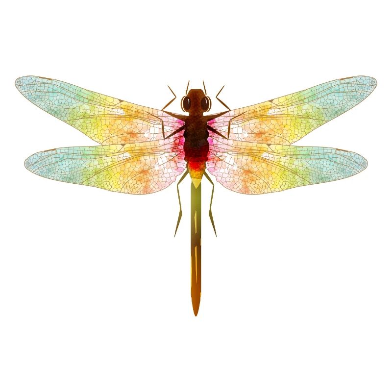 Iridescent Dragonfly – Filigree Insect Motif