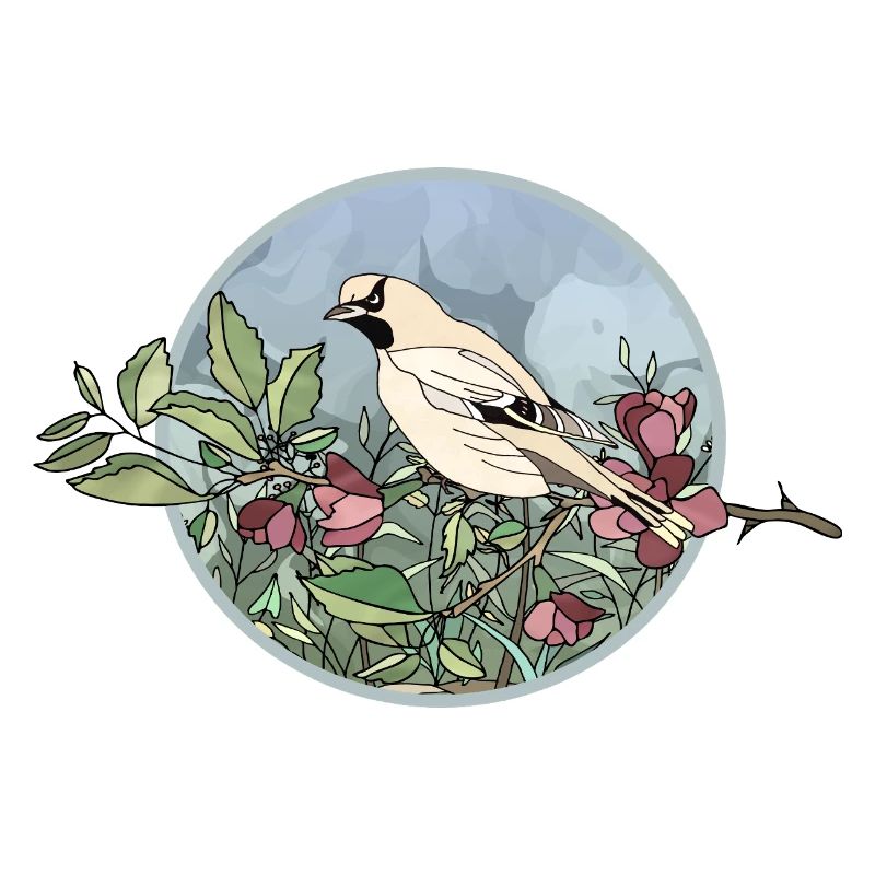 Oiseau coloré