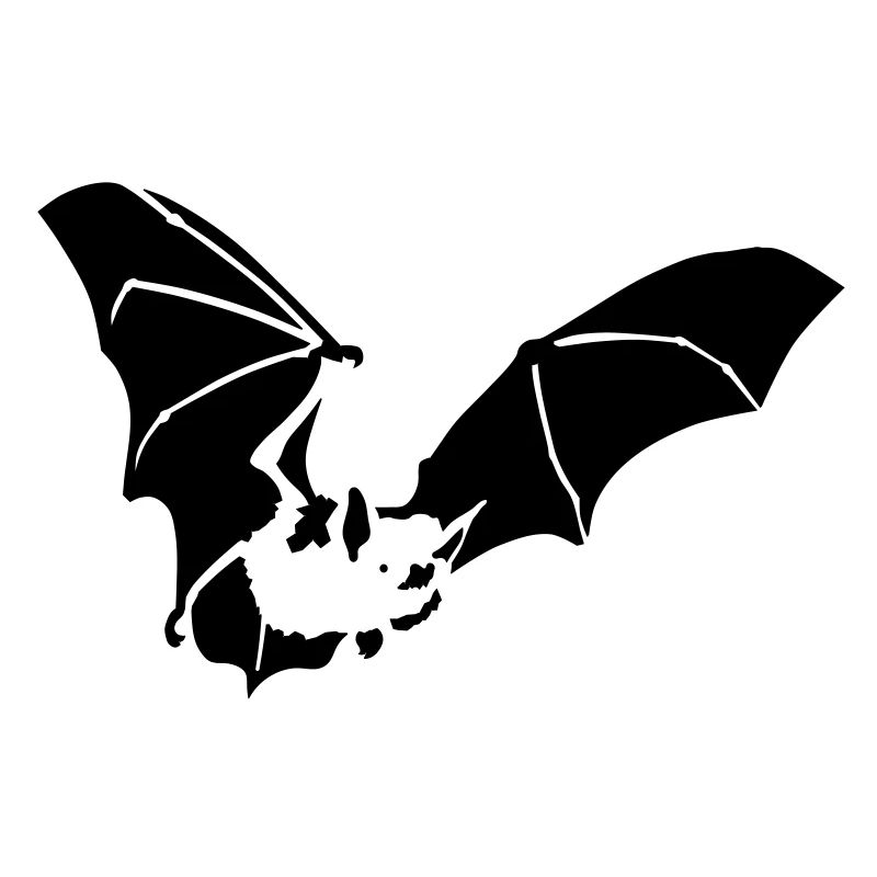 Fledermaus