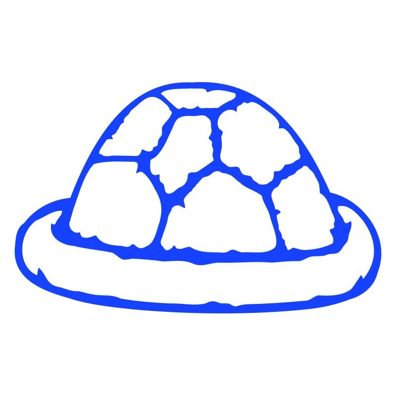 Turtle shell without turtle cute shell