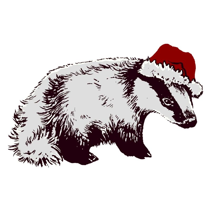 WEIHNACHTSDACHS