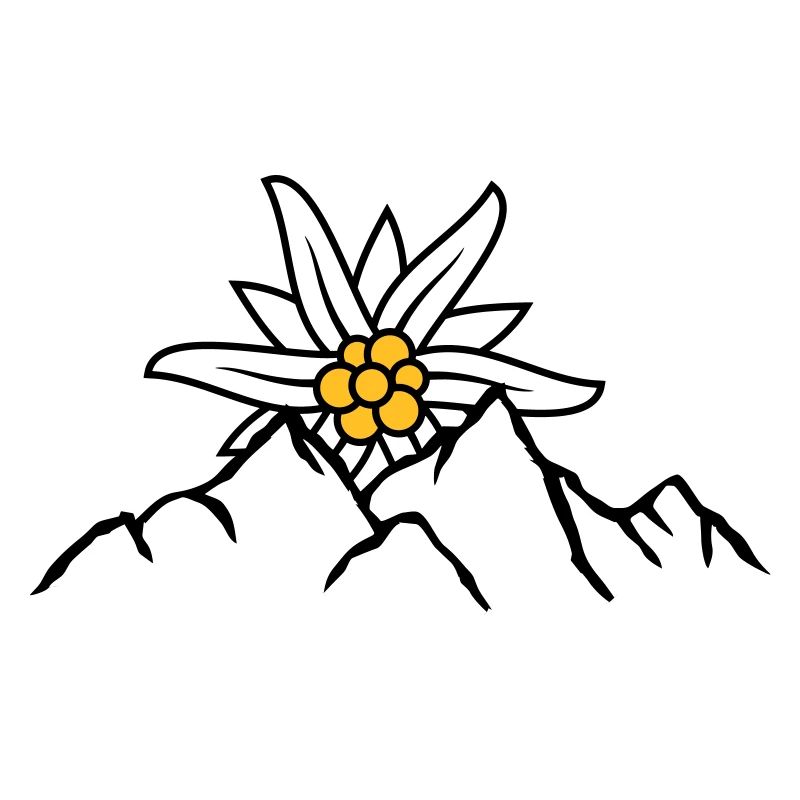 Sonne Bergblume Edelweiss