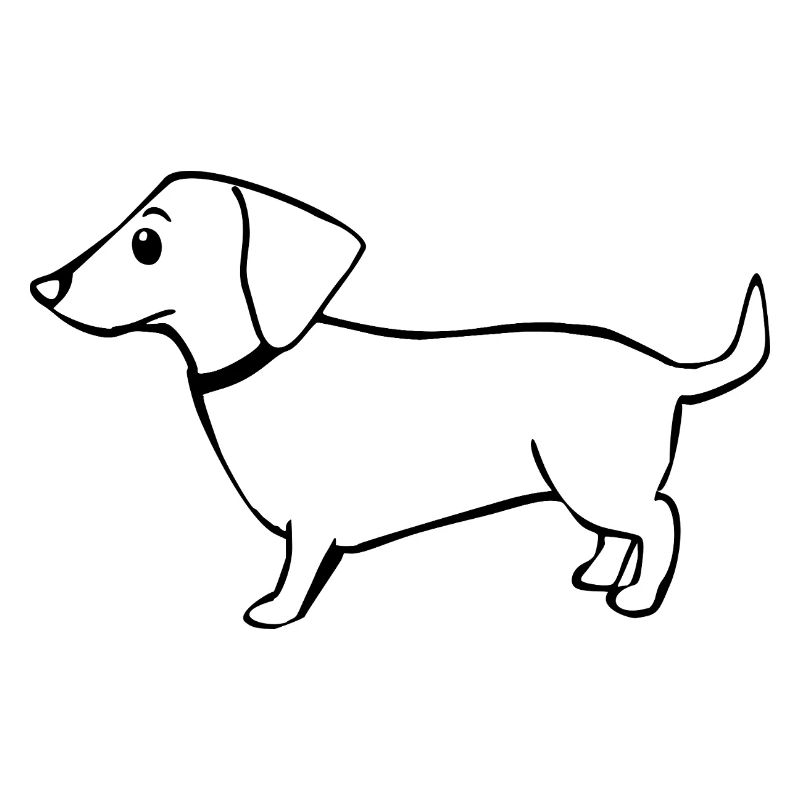 teckel