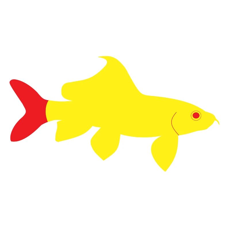 Epalzeorhynchos bicolor rouge et jaune
