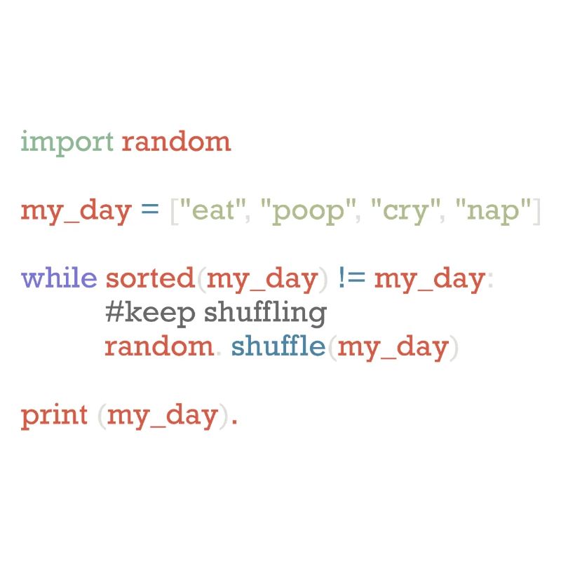 Funny python code about everyday life, baby