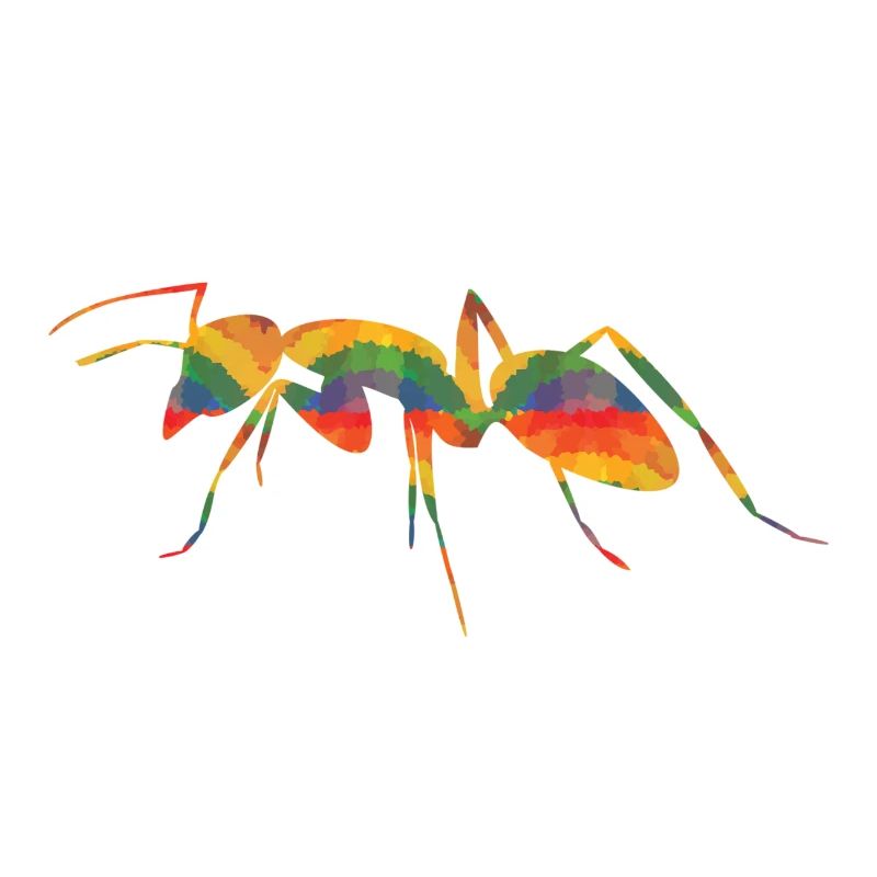 Fourmis colorées
