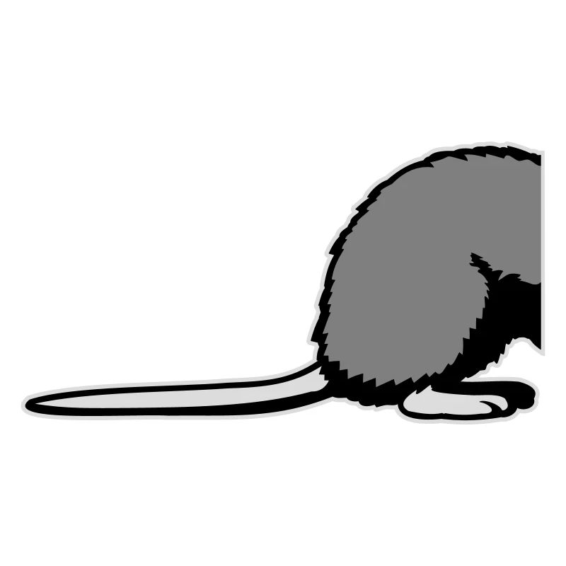 Rat Derrière Semi-drôle Animal rongeur à queue drôle