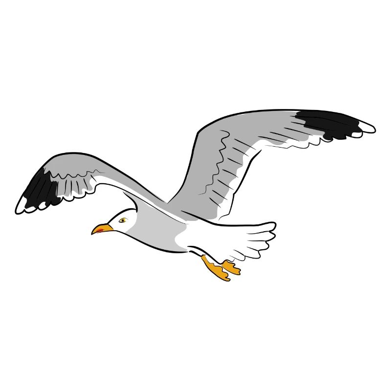 mouette