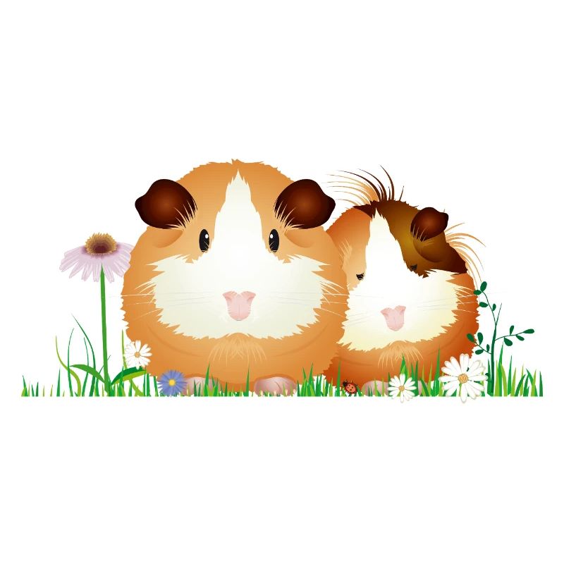 Deux cochons d’Inde dans le pré – l’harmonie