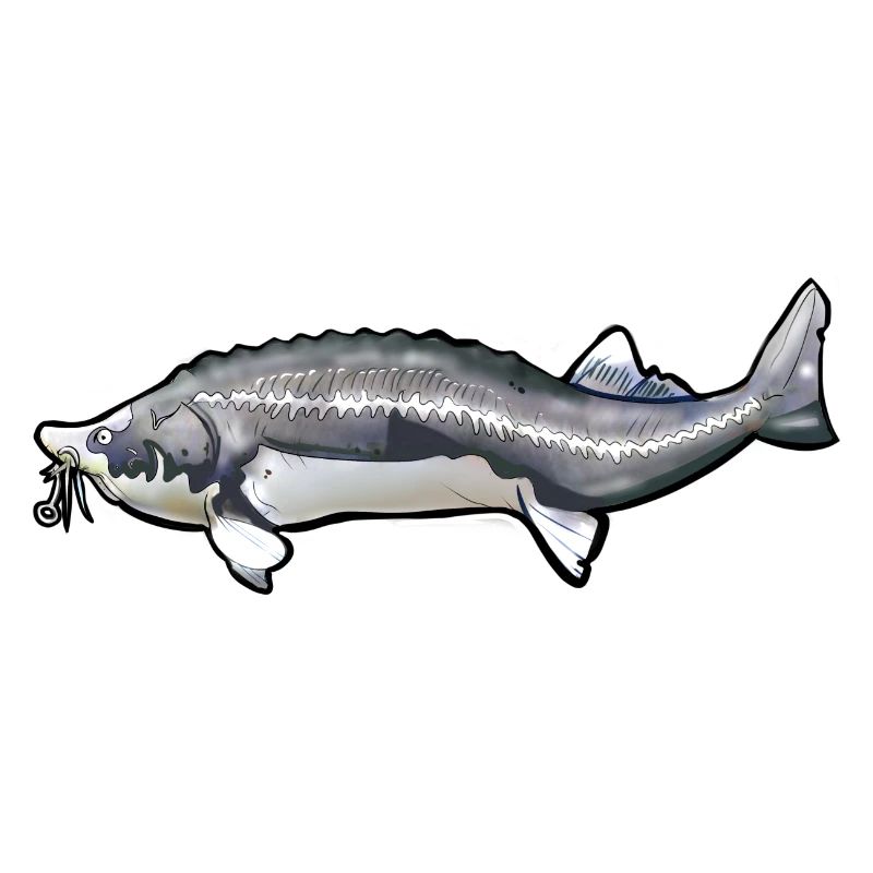 Grubbed Kelfish Tail Pattern