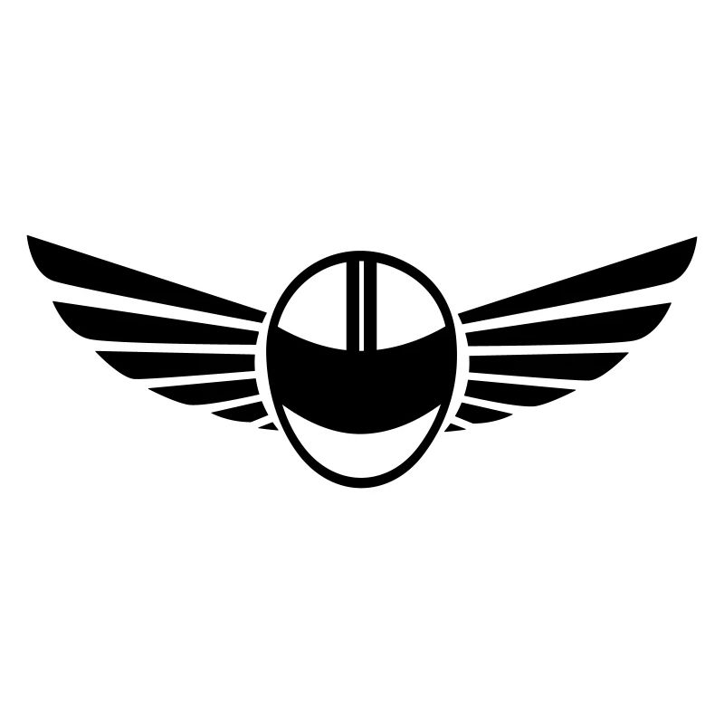Motorcycle helmet with wings