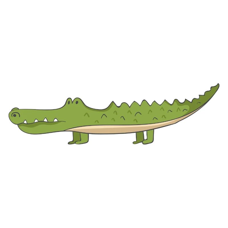 Crocodile