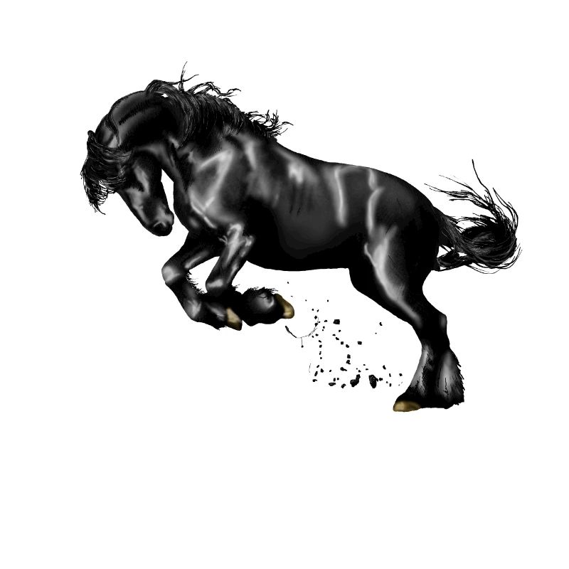 Pferd