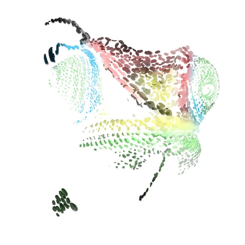 caméléon